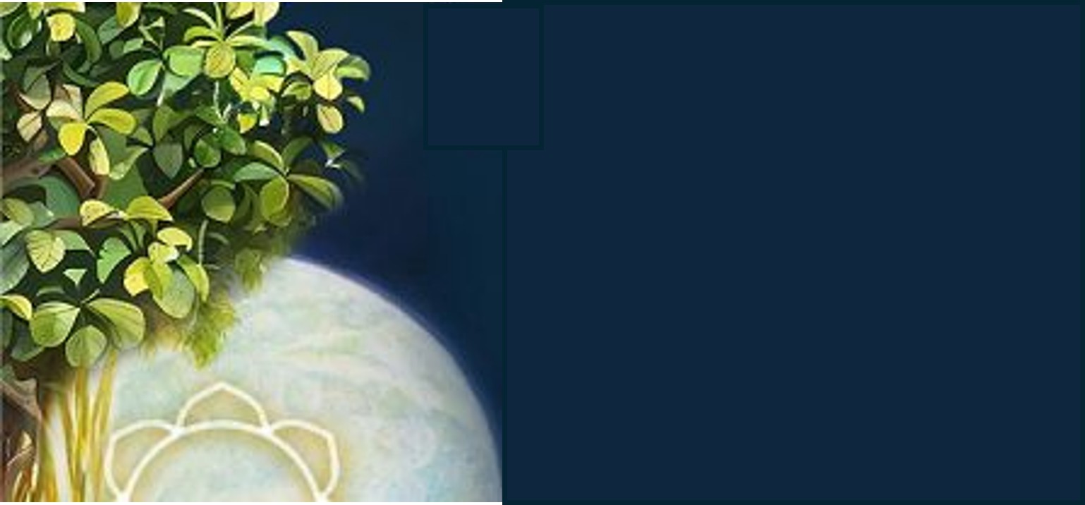 The Vedic Vision in the Light of Sri Aurobindo